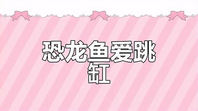 恐龍魚跳缸原因分析視頻