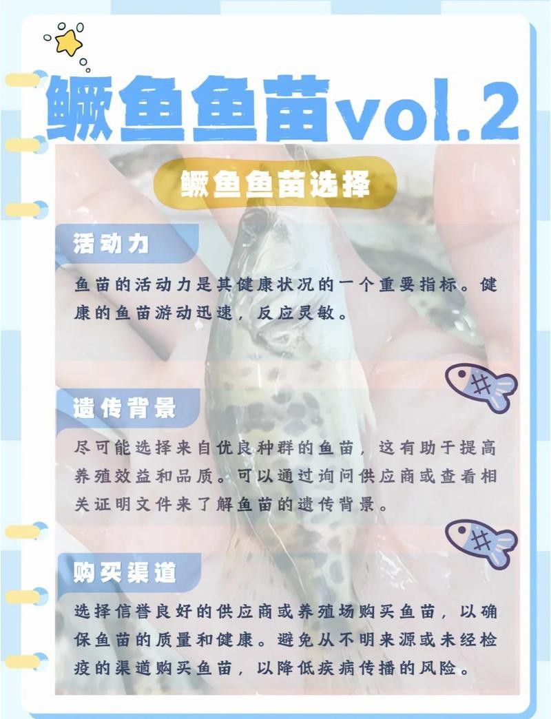 萌寵水世界小店的魚苗來源可靠嗎？ 萌寵水世界小店的魚苗來源可靠嗎？ 龍魚百科 第4張