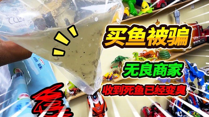 萌寵水世界小店的魚苗來源可靠嗎？ 萌寵水世界小店的魚苗來源可靠嗎？ 龍魚百科 第11張