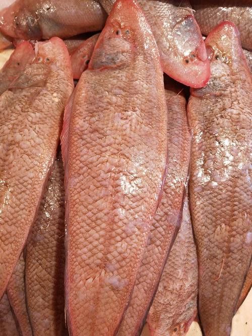如何選擇新鮮的龍利魚？