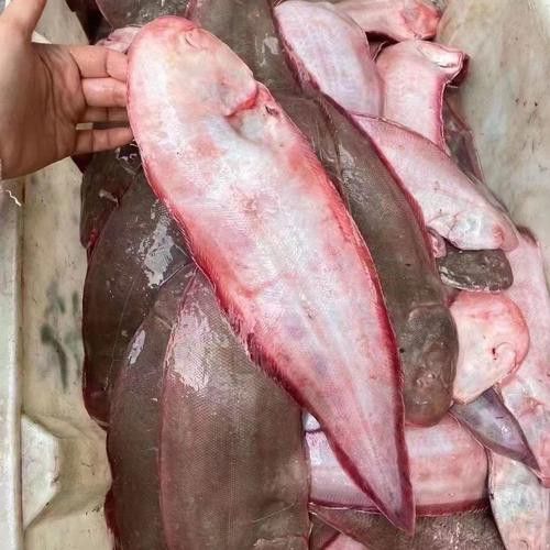 如何選擇新鮮的龍利魚？