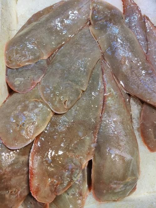 如何選擇新鮮的龍利魚？