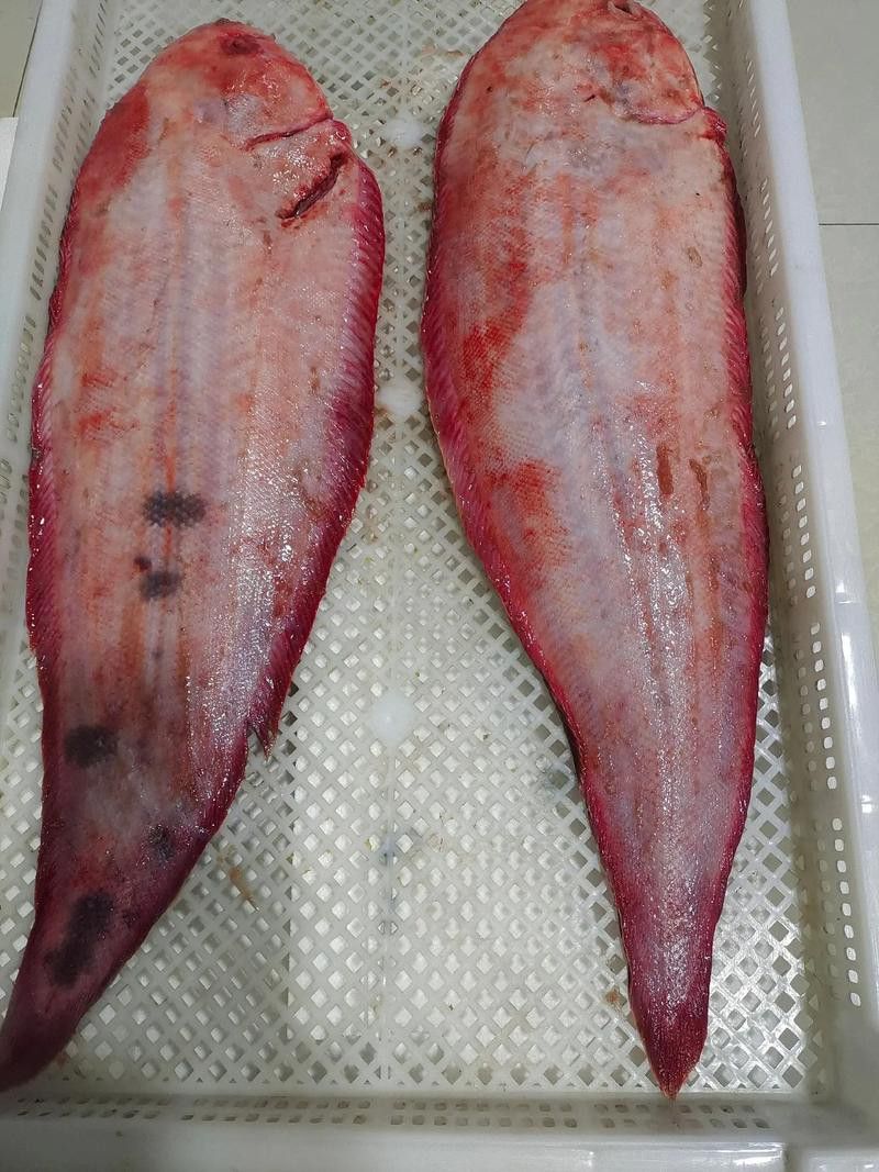 如何選擇新鮮的龍利魚？