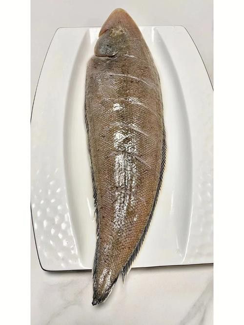 如何選擇新鮮的龍利魚？