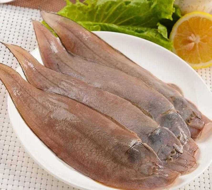 如何選擇新鮮的龍利魚？