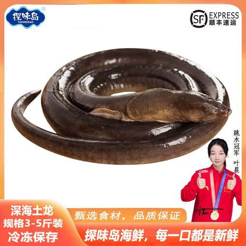 土龍魚的圖片