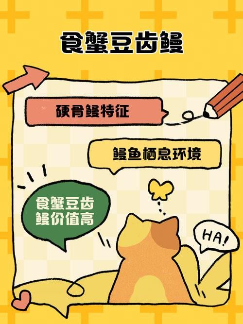 土龍魚的圖片