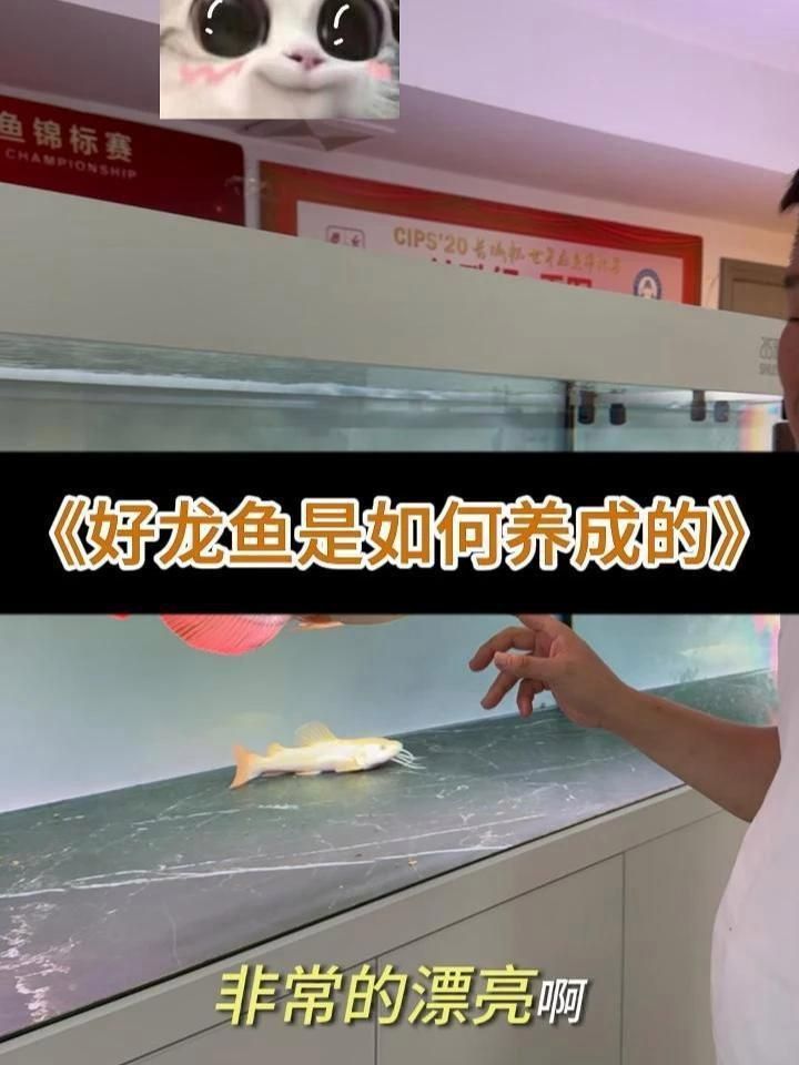 龍魚黑鱗最簡單三個方法