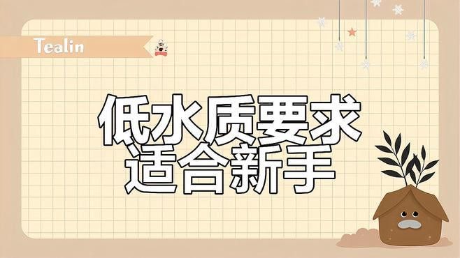 藍曼龍魚有幾種顏色 藍曼龍魚有幾種顏色 龍魚百科 第6張