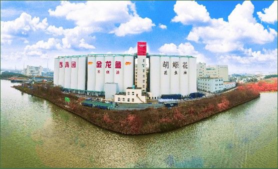 金龍魚品牌如何體現社會責任？ 金龍魚品牌如何體現社會責任？ 龍魚百科 第2張