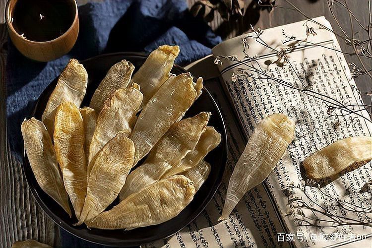 海魚(yú)金龍魚(yú)是哪種