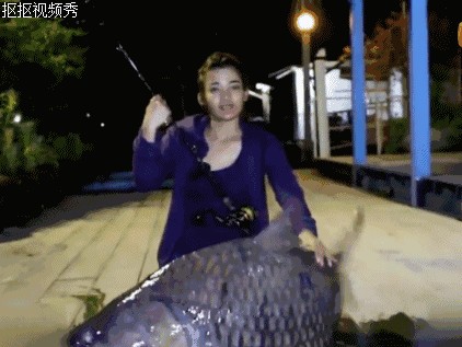 泰國鯉魚與龍魚混養(yǎng)怎么樣泰國鯉魚與龍魚混養(yǎng)怎么樣：泰國鯉魚與龍魚混養(yǎng)可行嗎
