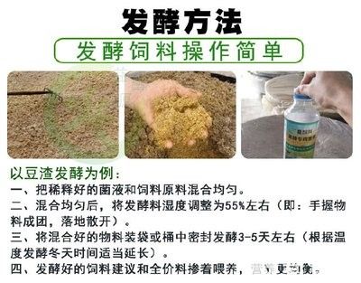 龍魚虎魚混養小時候喂什么飼料好