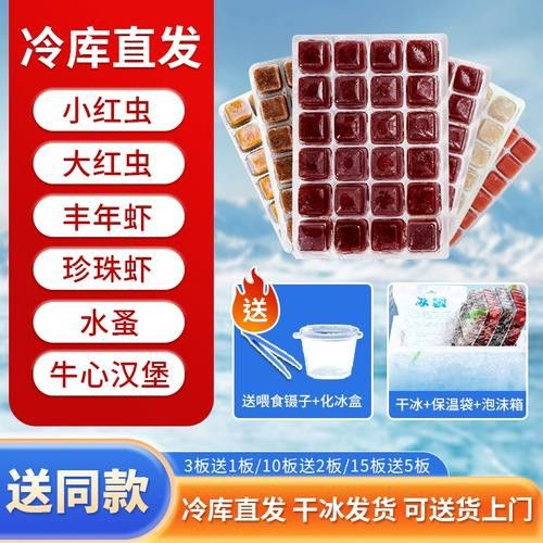 恐龍魚幼魚吃什么食物好 恐龍魚幼魚吃什么食物好 龍魚百科 第1張