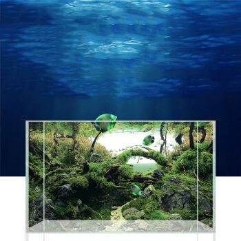 龍魚魚缸背景圖片高清大圖：高清龍魚魚缸背景圖片