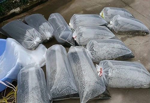 龍魚運輸最長時間