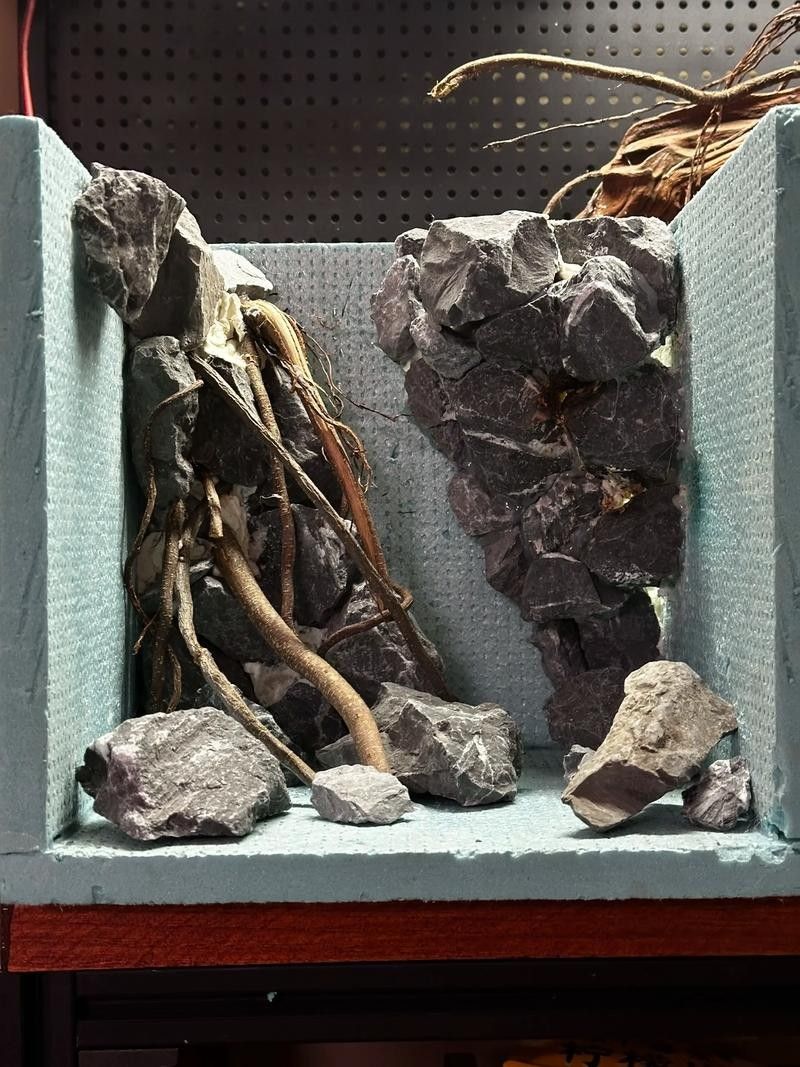 雷龍魚缸布置效果圖