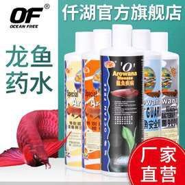 保定龍魚回收價格多少錢