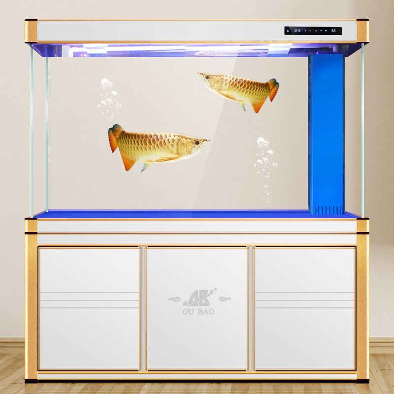 養(yǎng)龍魚缸底用什么顏色好：養(yǎng)龍魚時，缸底顏色的選擇是一個重要的因素，不僅影響龍魚的發(fā)色