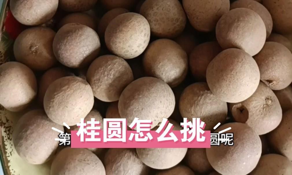 怎樣挑選到新鮮龍眼？ 怎樣挑選到新鮮龍眼？ 龍魚百科 第3張