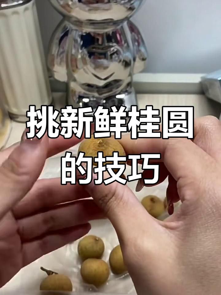 怎樣挑選到新鮮龍眼？ 怎樣挑選到新鮮龍眼？ 龍魚百科 第5張