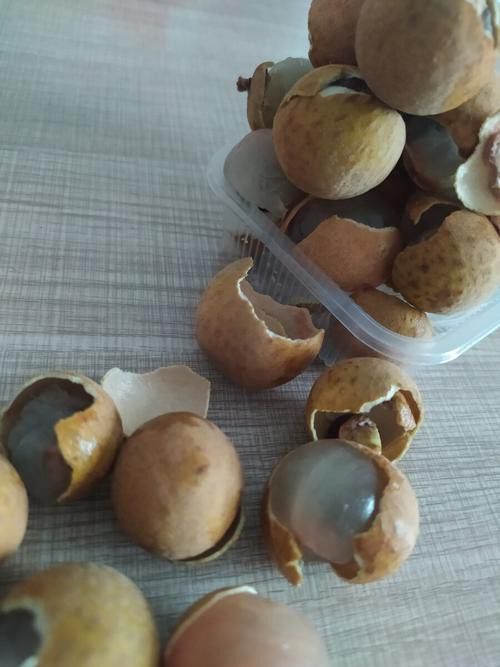 怎樣挑選到新鮮龍眼？ 怎樣挑選到新鮮龍眼？ 龍魚百科 第9張