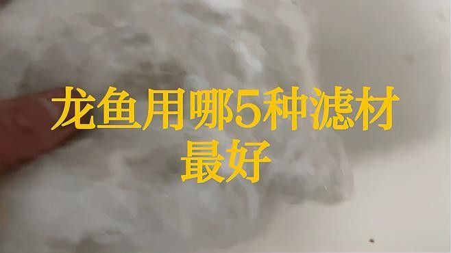 龍魚濾材哪個牌子好一點兒 龍魚濾材哪個牌子好一點兒 龍魚百科 第7張