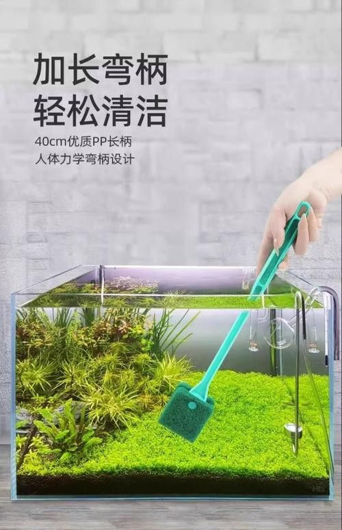 有哪些適合龍魚擺件的清潔劑？ 有哪些適合龍魚擺件的清潔劑？ 龍魚百科 第2張