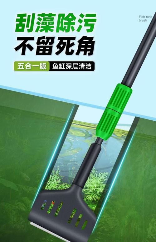 有哪些適合龍魚擺件的清潔劑？ 有哪些適合龍魚擺件的清潔劑？ 龍魚百科 第3張
