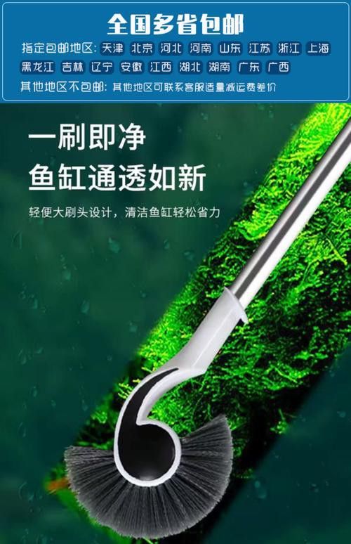 有哪些適合龍魚擺件的清潔劑？ 有哪些適合龍魚擺件的清潔劑？ 龍魚百科 第7張
