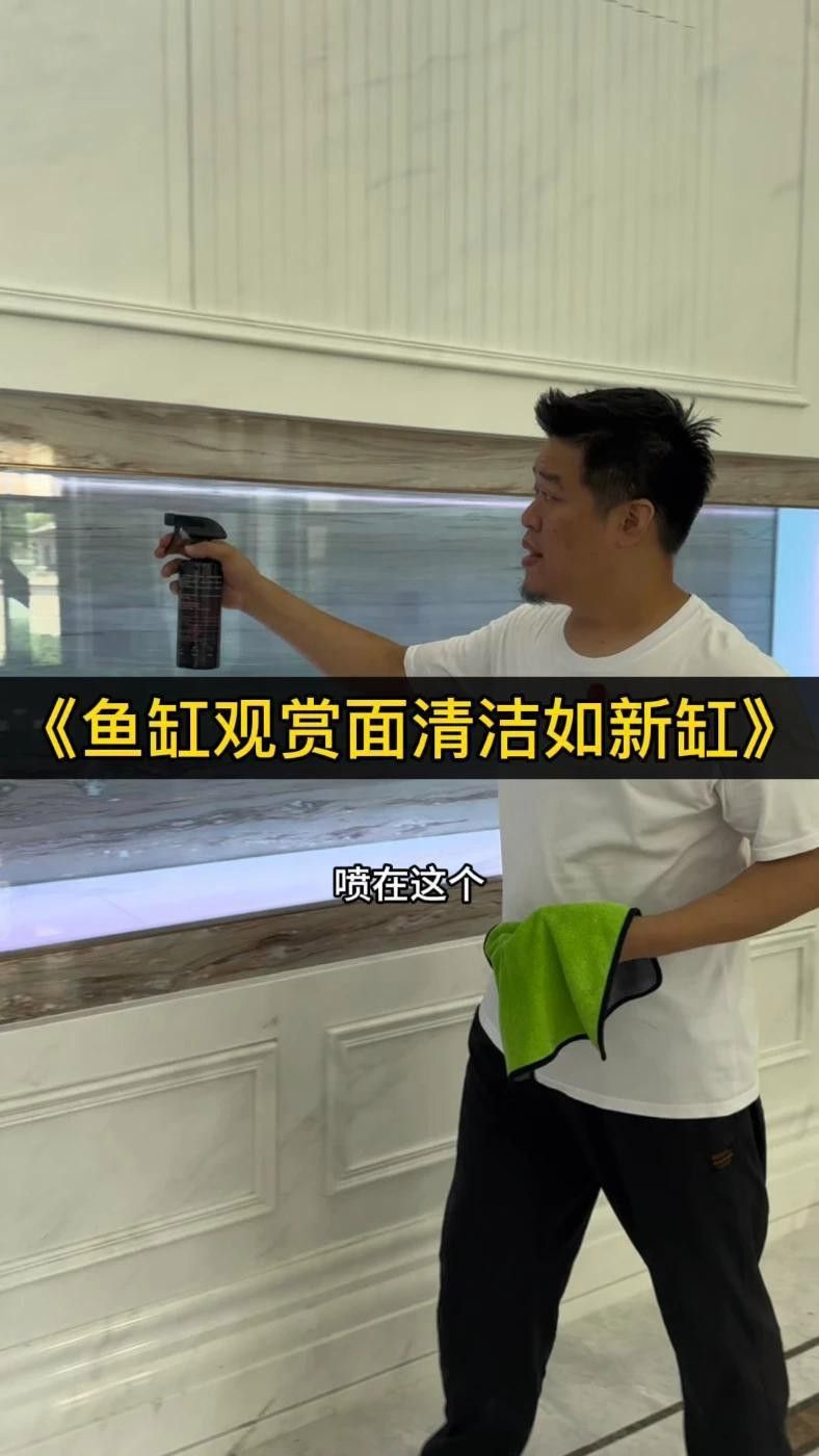 有哪些適合龍魚擺件的清潔劑？ 有哪些適合龍魚擺件的清潔劑？ 龍魚百科 第10張