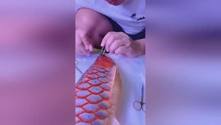 龍魚掉眼睛圖片 龍魚掉眼睛圖片 龍魚百科 第23張