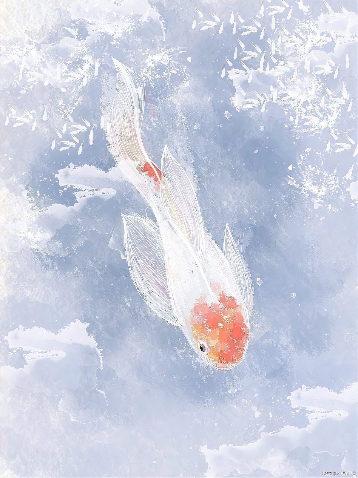 錦鯽和錦鯉哪個(gè)更旺財(cái)