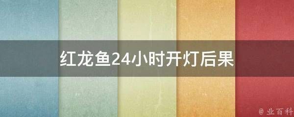 紅龍魚需要24小時開燈嗎（紅龍魚24小時開燈后果）