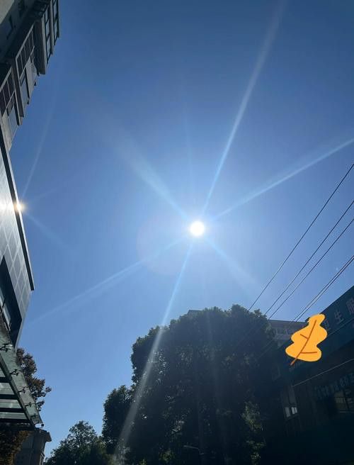 挑選時如何區(qū)分自然發(fā)色與燈光修飾？ 挑選時如何區(qū)分自然發(fā)色與燈光修飾？ 龍魚百科 第6張