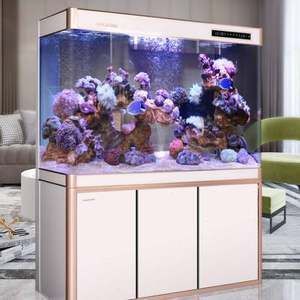 大型龍魚缸造景：大型龍魚缸造景的一些詳細步驟和要點