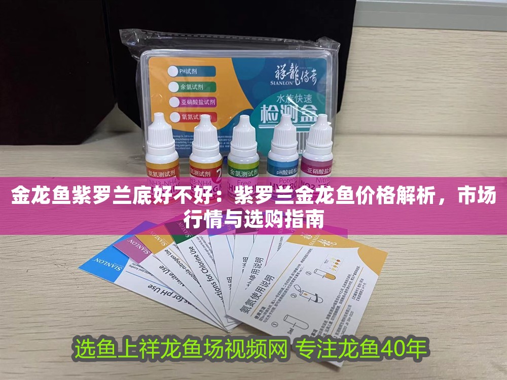 金龍魚紫羅蘭底好不好:紫羅蘭金龍魚價格解析,市場行情與選購指南 龍魚百科 第1張 金龍魚紫羅蘭底好不好:紫羅蘭金龍魚價格解析,市場行情與選購指南 金龍魚紫羅蘭底好不好:紫羅蘭金龍魚價格解析,市場行情與選購指南 龍魚百科 第1張