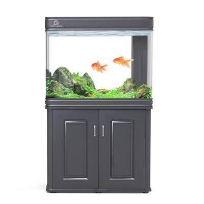 龍魚缸上濾效果怎么樣?:龍魚缸上濾系統的優點有以下幾點 龍魚百科 第2張 龍魚缸上濾效果怎么樣?:龍魚缸上濾系統的優點有以下幾點 龍魚缸上濾效果怎么樣?:龍魚缸上濾系統的優點有以下幾點 龍魚百科 第2張