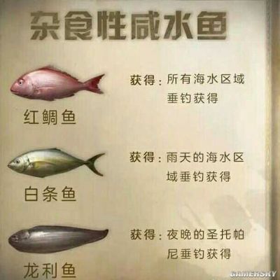 明日之后龍魚（《明日之后》如何在游戲中獲取龍魚以及龍魚用途）