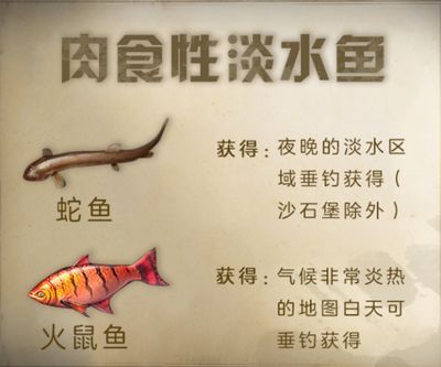 明日之后龍魚（《明日之后》如何在游戲中獲取龍魚以及龍魚用途）