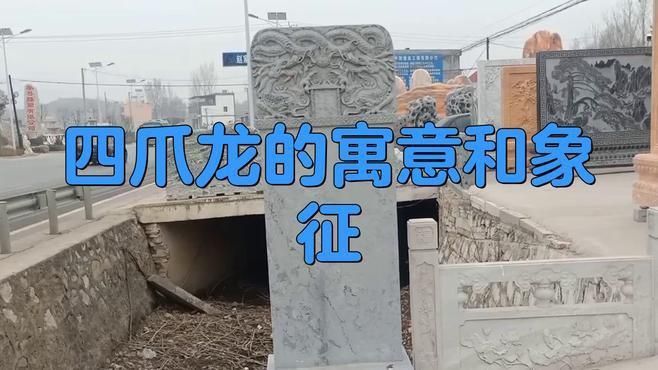 四角龍在文化中象征什么？ 四角龍在文化中象征什么？ 龍魚百科 第3張