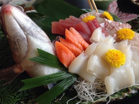 雷龍魚最愛吃什么，如何保持雷龍魚水質清潔,雷龍魚捕食行為模擬方法 雷龍魚最愛吃什么，如何保持雷龍魚水質清潔,雷龍魚捕食行為模擬方法 龍魚百科 第3張
