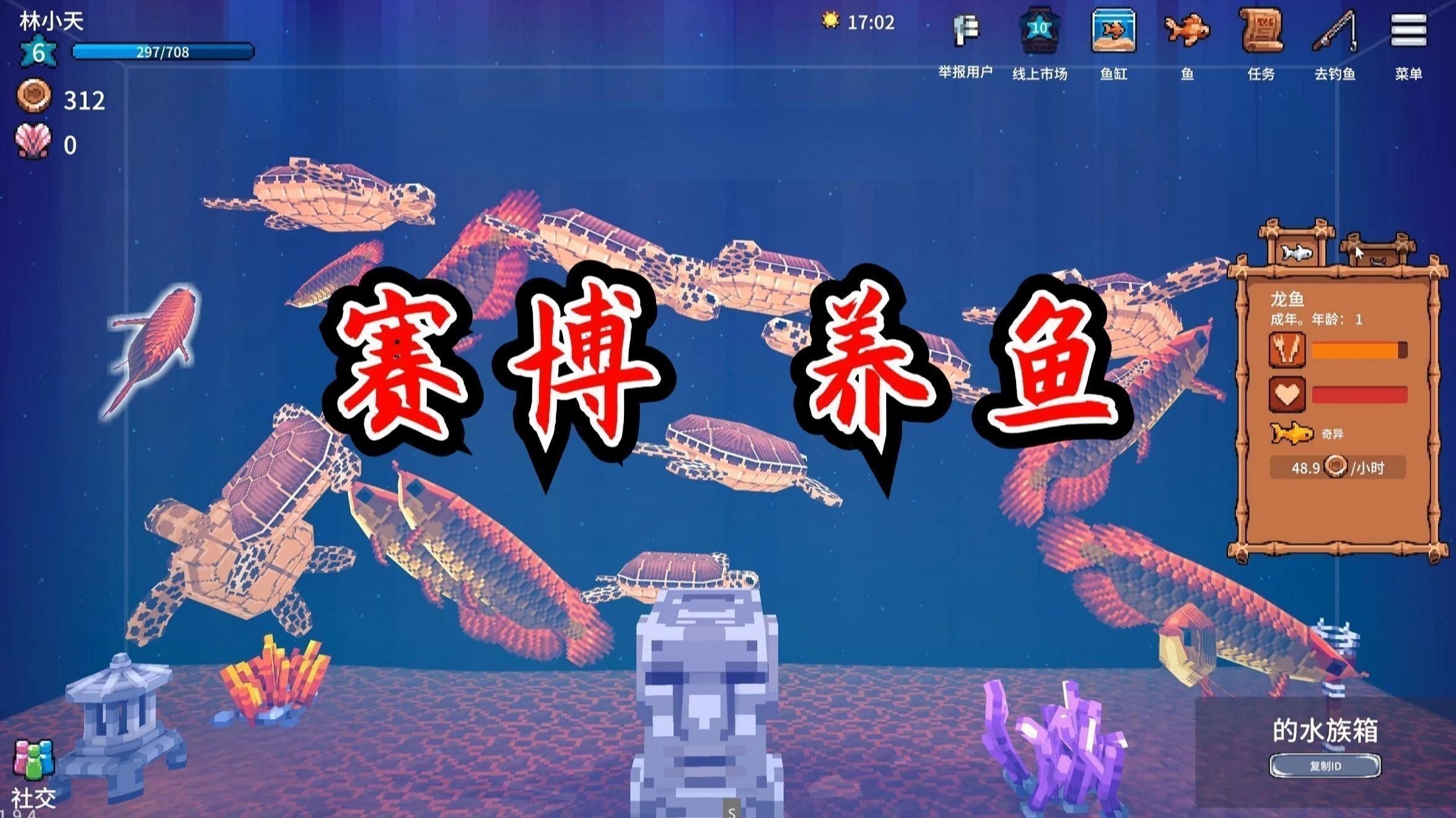 藍底金龍魚如何飼養(yǎng)？