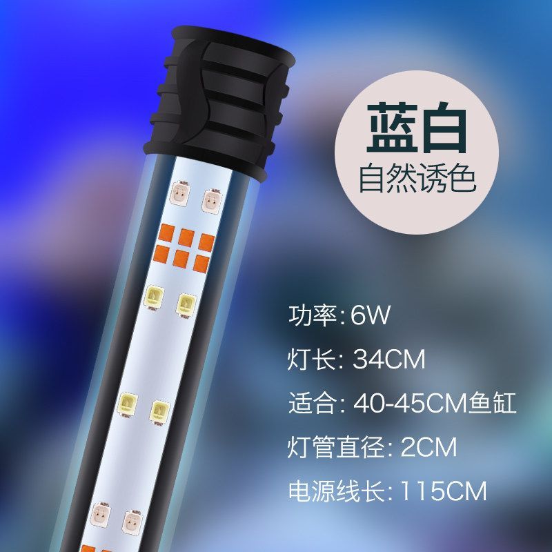 龍魚上色用什么燈光（龍魚上色怎么選擇燈光）