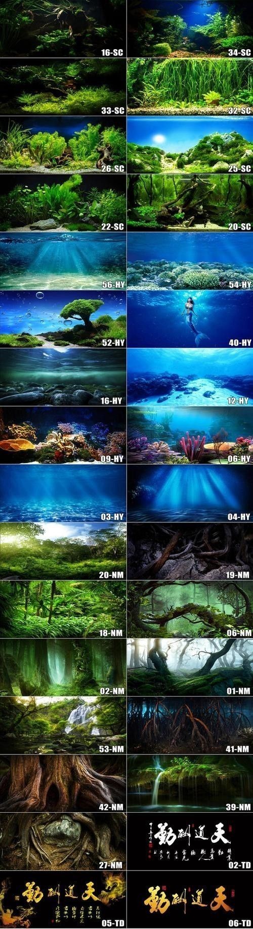 龍魚魚缸背景布 龍魚魚缸背景布 龍魚百科 第13張