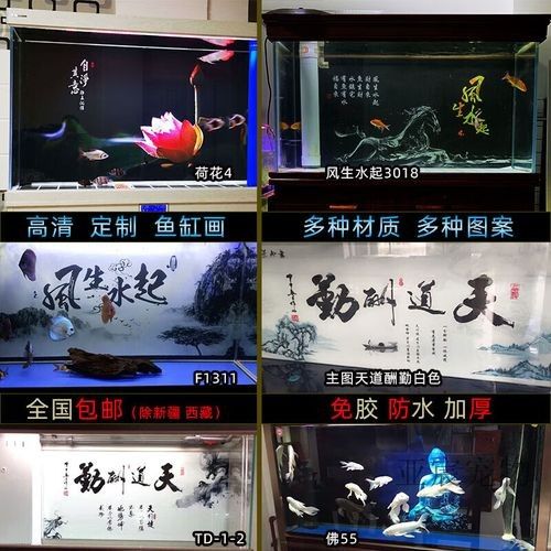 龍魚魚缸背景布 龍魚魚缸背景布 龍魚百科 第14張