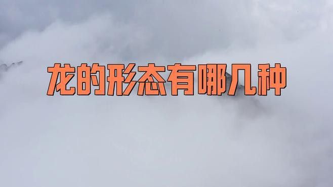 有沒有飛龍形態的圖片？