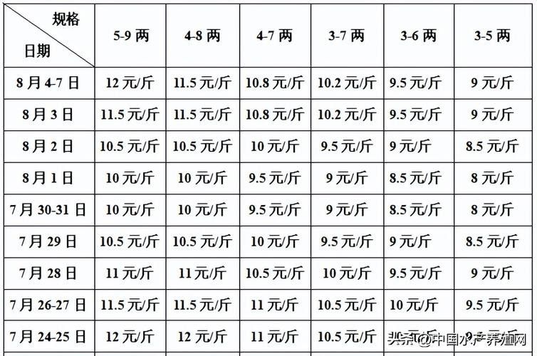 黑龍魚(yú)大概多少錢(qián)一只啊