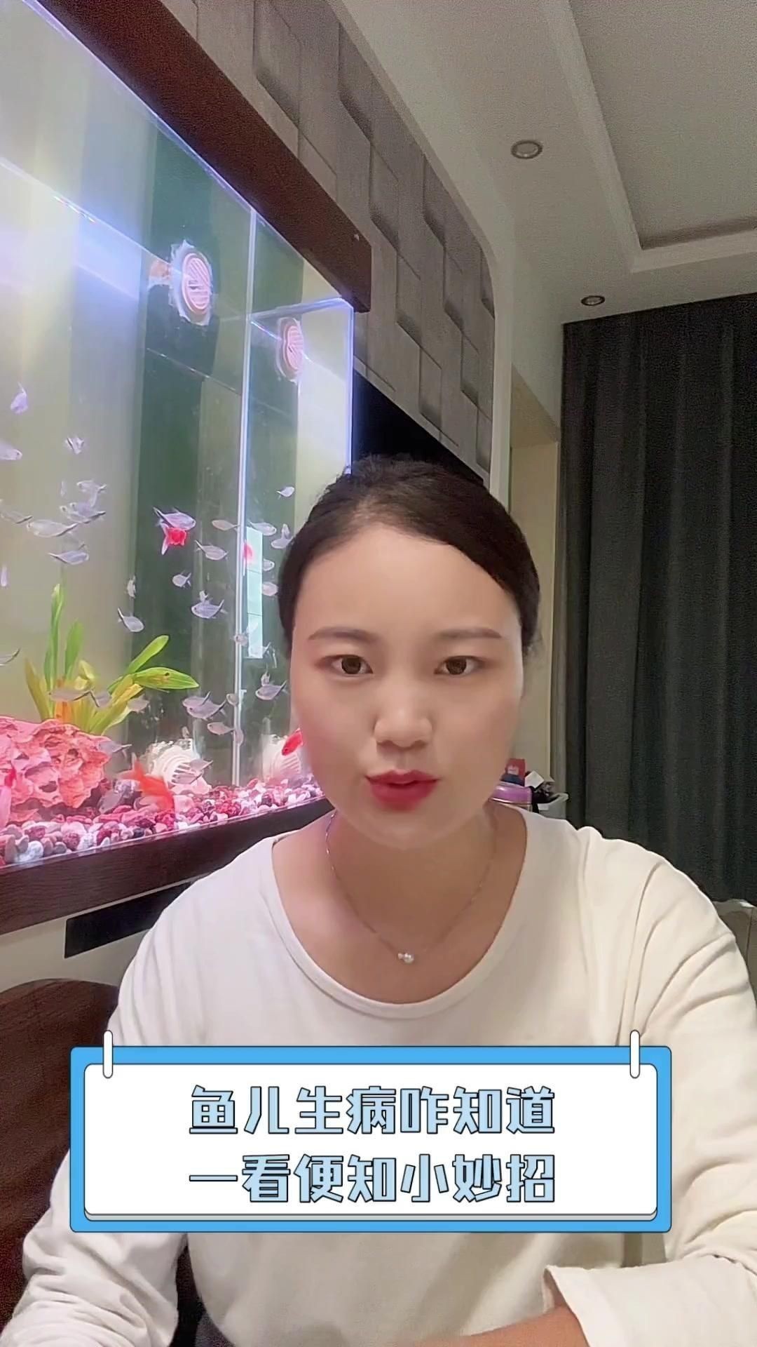 如何判斷魚兒是否生病 如何判斷魚兒是否生病 龍魚百科 第1張