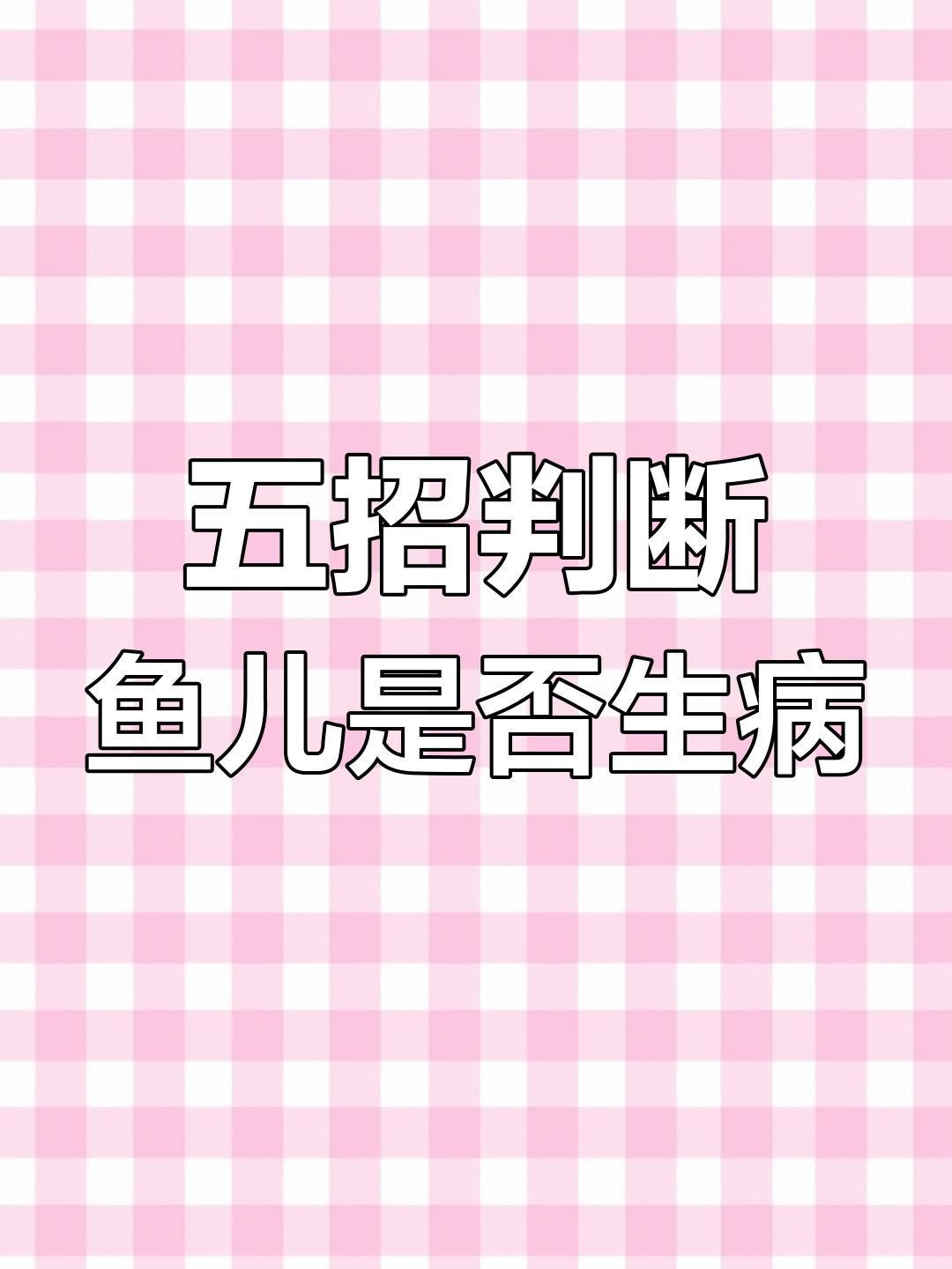 如何判斷魚兒是否生病 如何判斷魚兒是否生病 龍魚百科 第3張